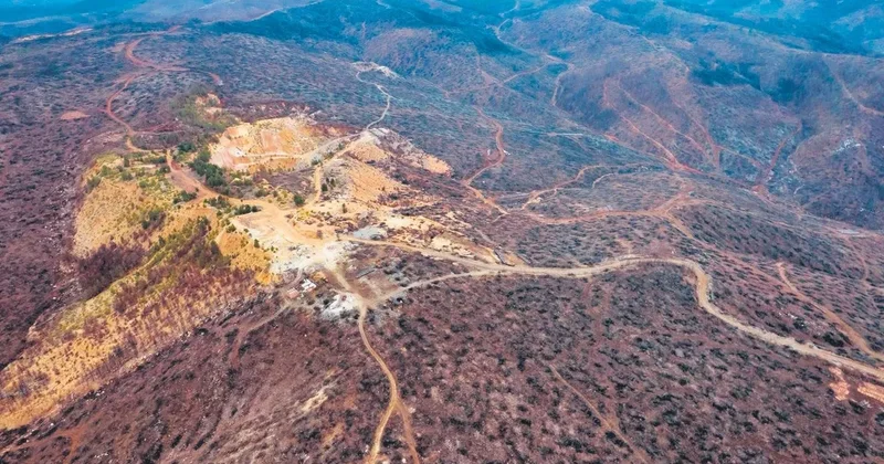 Yeşil şehir küllerinden yeniden doğdu