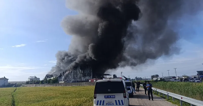 Antalya da patates üretim tesisinde yangın