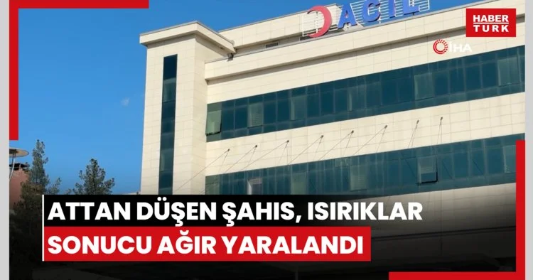 Attan düşen şahıs, ısırıklar sonucu ağır yaralandı