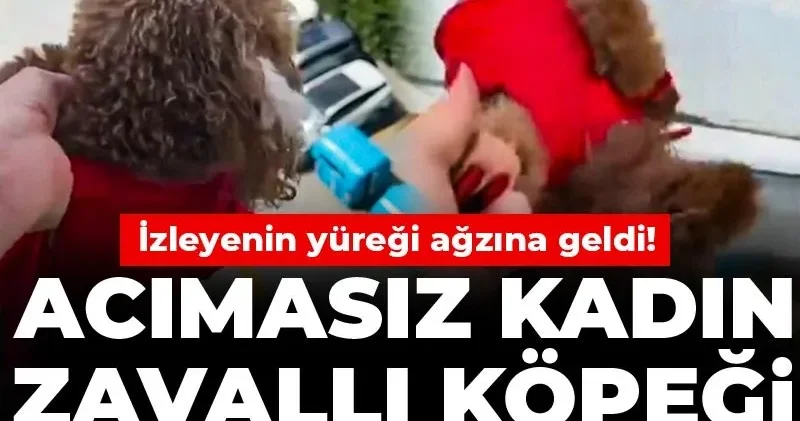 İzleyenin yüreği ağzına geldi! Acımasız kadın zavallı köpeği camdan sarkıtıp dövdü