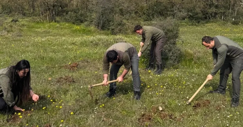 Nesli tehlike altındaki bitkileri topladı! 699 bin lira ceza yedi