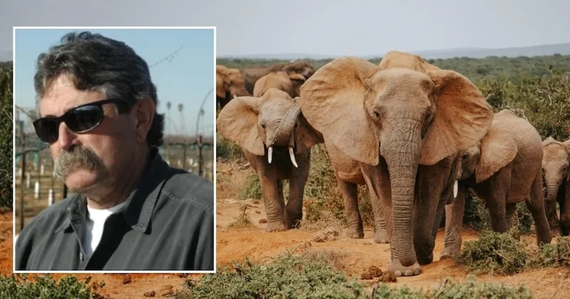 Av meraklısı iş insanı, fillerin altında ezilerek can verdi Sözcü Gazetesi