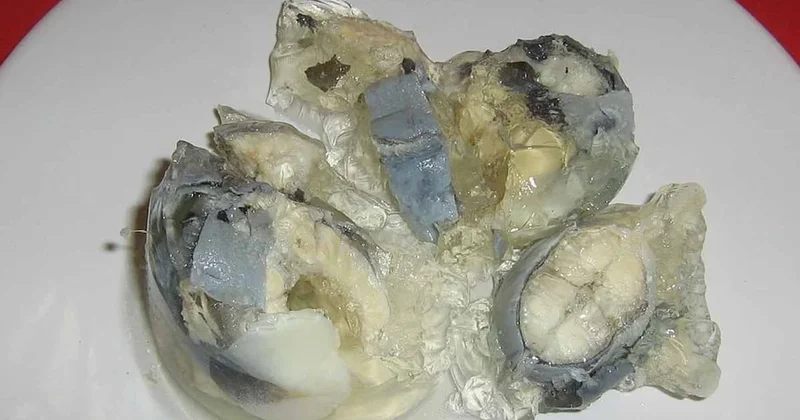 200 yıldır sofraların vazgeçilmezi dünyanın en kötü yemeği seçildi Sözcü Gazetesi