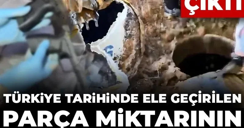Türkiye tarihinde ele geçirilen parça miktarının en yükseği oldu! Binlercesi su deposundan çıktı