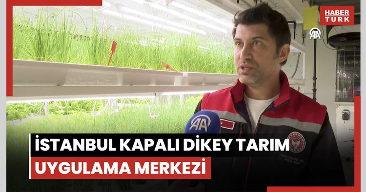 İstanbul Kapalı Dikey Tarım Uygulama Merkezi