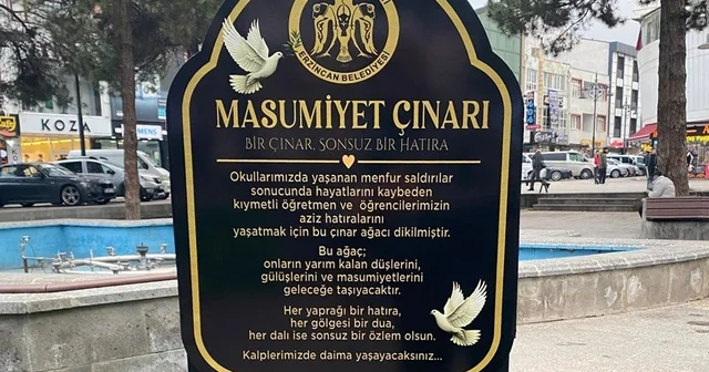 Masumiyet Çınarları kaybedilen canların hatırası için dikildi Erzincan Haberleri