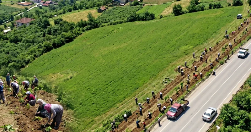 Dünyanın en pahalıları Türkiye de: Yol kenarına eken milyoner oluyor Sözcü Gazetesi