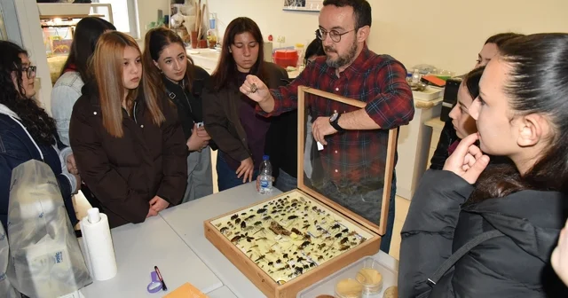Üniversite adayı öğrenciler Düzce Üniversitesi ni inceledi Düzce Haberleri
