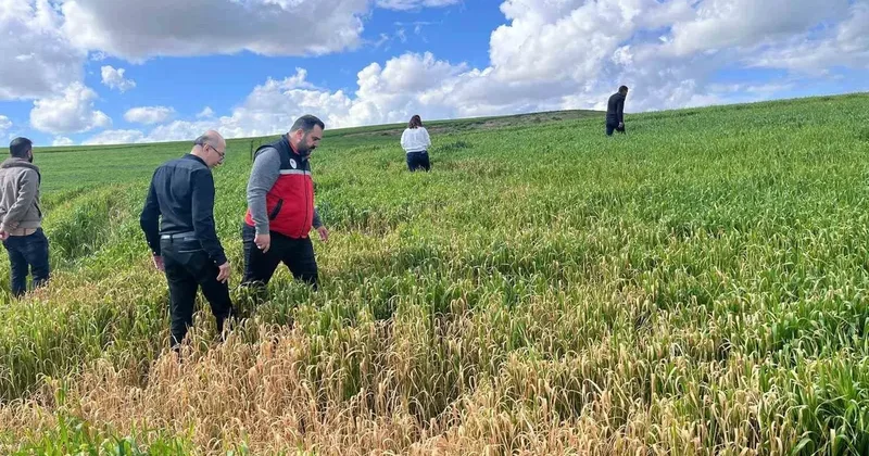 Batman’da çiftçilere ’yanlış ilaçlama’ uyarısı