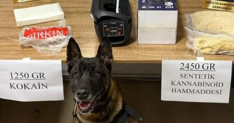 Narkotik köpeği buldu: Araçtan 3 kilo 700 gram uyuşturucu çıktı!
