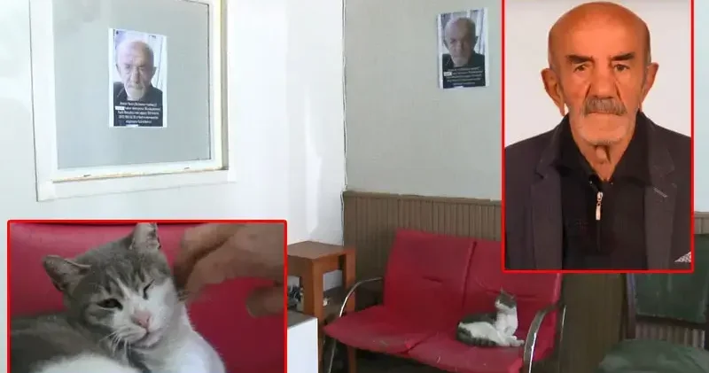 40 gün önce evden çıkan Alzheimer hastası bulunamadı; yakınları ve kedisi Zilli onu bekliyor