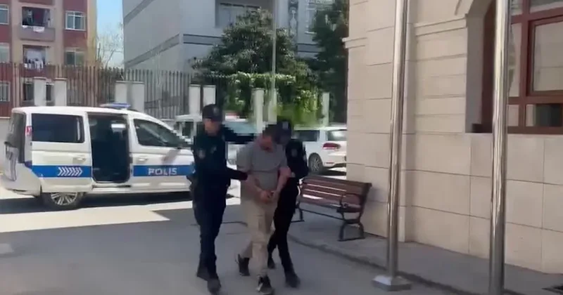 İstanbul da köpeğe kötü muamele! Gözaltına alındı