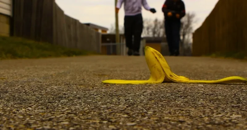 Gübre devri kapandı: Her gün çöpe attığımız şey bitkileri daha hızlı ve güçlü büyütüyor