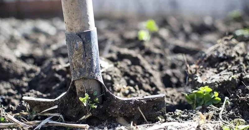 Tarımda fiyatları düşürecek önemli hamle geldi