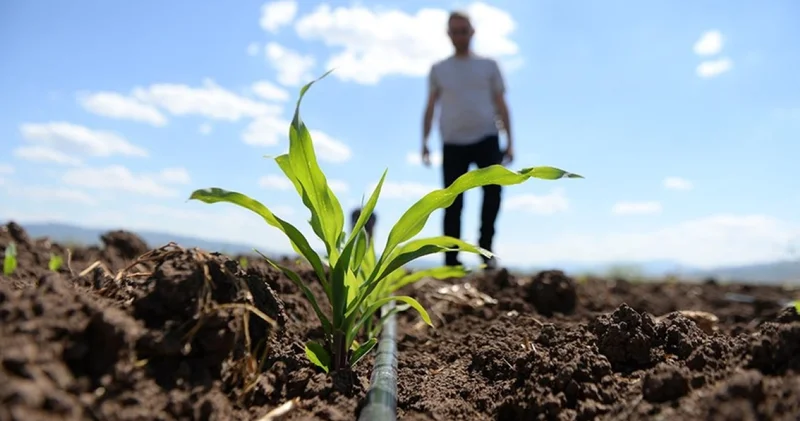 Gübrede kritik adım: Katı amonyum nitrat ve monoamonyum fosfatın gümrük vergisi sıfırlandı
