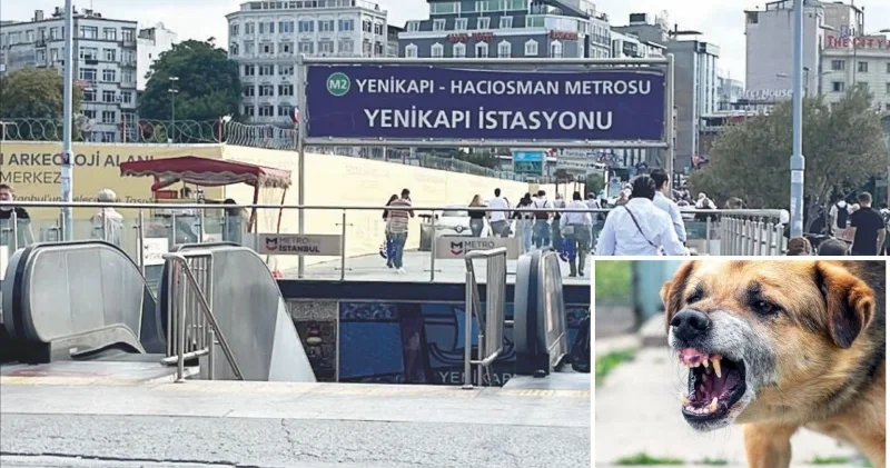 Valilik ve belediye tazminat ödeyecek Yerel Gündem Haberleri