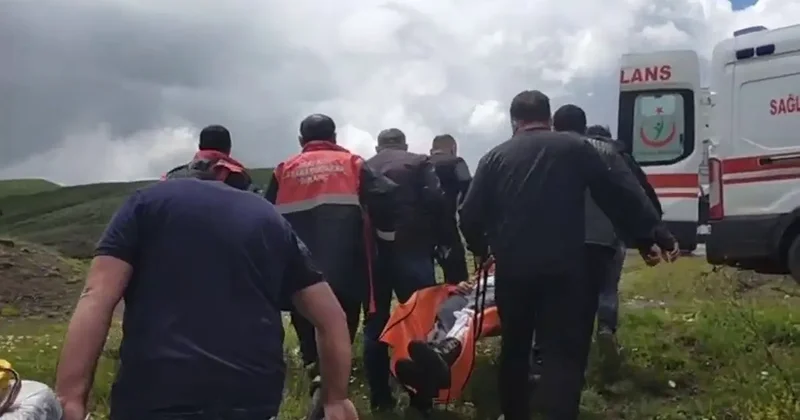 Mantar toplarken ayı saldırısına uğradı