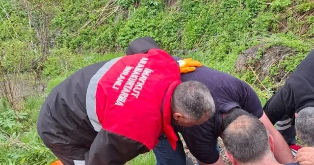 Mantar toplarken ayı saldırısına uğradı Mantar toplamak için çıktığı kırsalda ayı saldırısına uğrayan vatandaşın parmağı koptu Sivas Haberleri