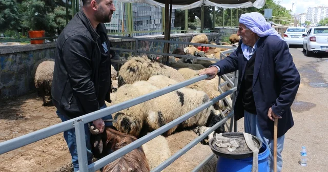 Kurban pazarında sessizlik: Satıcılar son günleri bekliyor Diyarbakır Haberleri