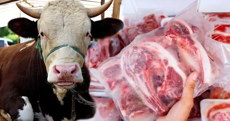 40 yıllık kasap uyardı: Kurban etinin yeşermesinin sebebi o hata!