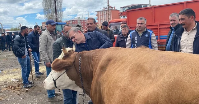 Vali Polat, kurban pazarlığında ara buluculuk yaptı Kars Haberleri