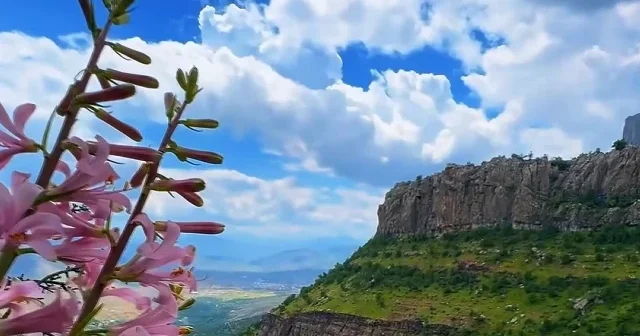 Balkaya Dağı baharla renklendi: Açan çiçekler büyüledi VİDEO İZLE
