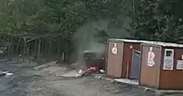 Kediye çarpmamak için manevra yaptı: Yamaçtan yuvarlandı VİDEO İZLE