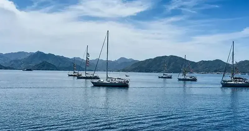 Küresel Sumud Filosu nda saldırıya uğrayan aktivistlerden 9 u daha taburcu edildi