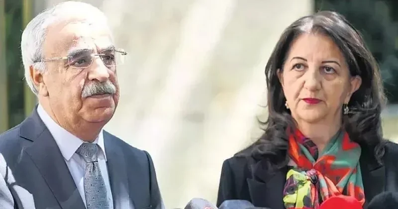 İmralı ziyareti sonrası DEM Parti den açıklama