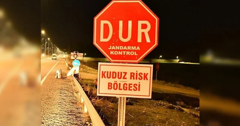 Van da kuduz alarmı: 7 mahalle birden karantinaya alındı Aktüel Haberleri