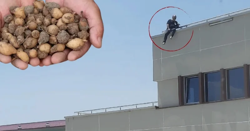 Topladığı salepler başına dert açtı; Milyonluk ceza sonrası soluğu çatıda aldı Sözcü Gazetesi
