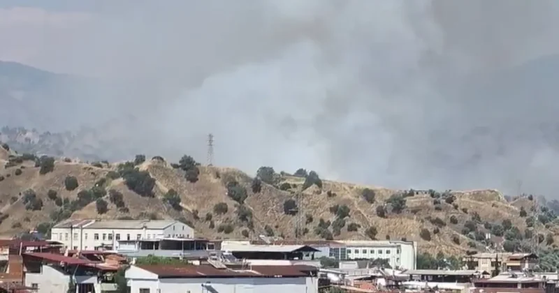 Nazilli’de zirai alan yangını