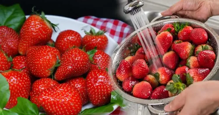 Çilek nasıl yıkanır? Çileği bu şekilde yemek iltihaba neden oluyor! Çileği temizleme yöntemleri