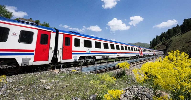 TCDD otla mücadele kapsamında tren yollarında ilaçlama yapacak