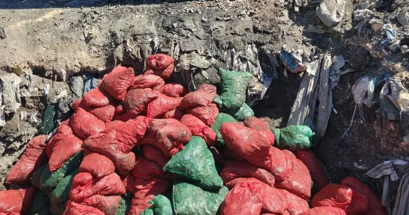 Soma da bozuk 4 ton midye imha edildi