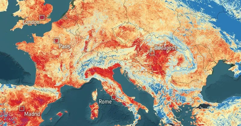 Almanya da 44°C rekor sıcaklık: Risk gruplarına evde kalma uyarısı