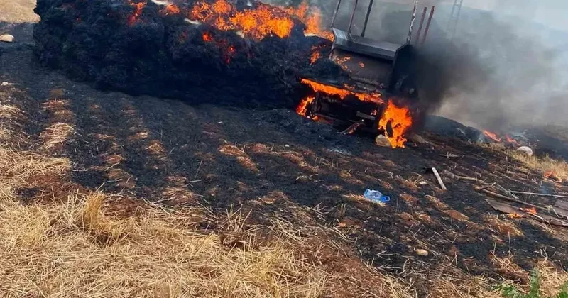 Tarsus’ta saman balyaları alevlere teslim oldu