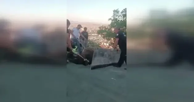 Afyonkarahisar da bir garip olay! Evin çatısına düşen ineği itfaiye kurtardı