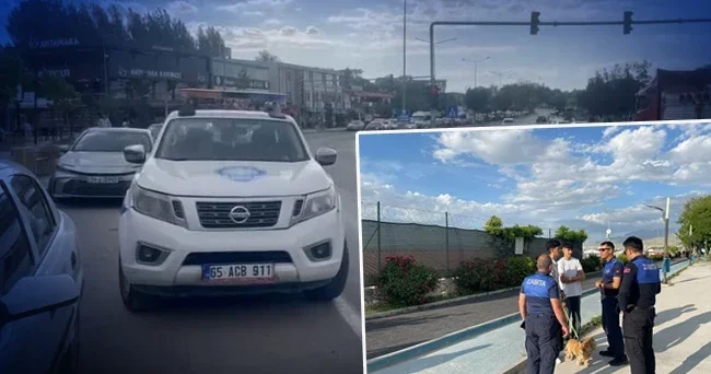 7 mahalle karantinaya alındı: Bölgede kuduz alarmı