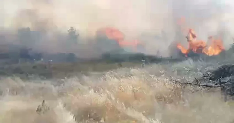 Muğla da Orman Yangınına Yoğun Müdahale