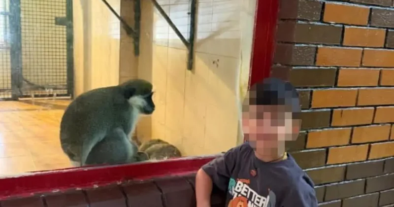 Alanya da havuzda boğulma tehlikesi geçiren çocuk yaşam mücadelesini kaybetti