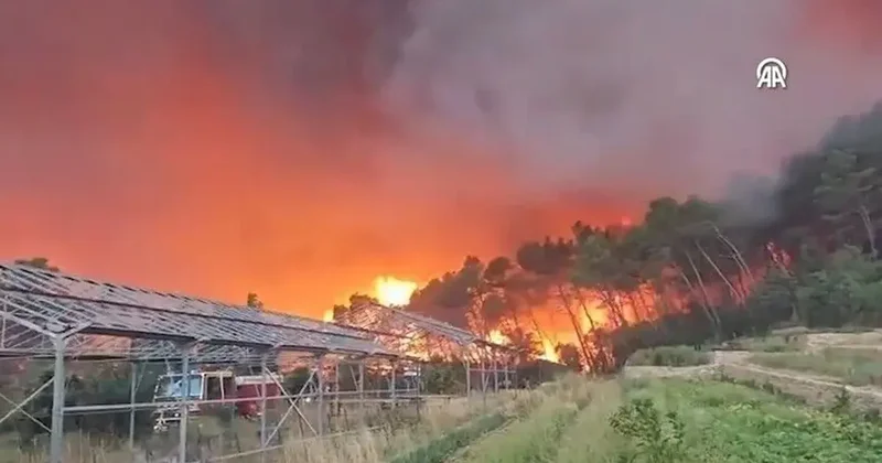 130 bin kişi için tahliye ediliyor... Fransa ve İspanya da yangın alarmı