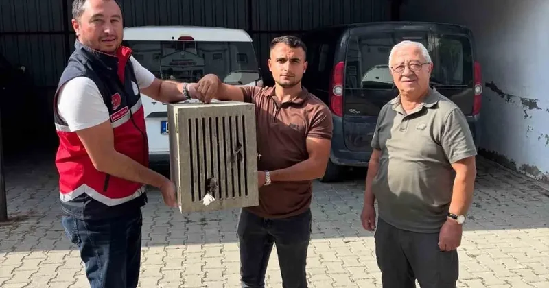 Yaralı halde bulunan leylek, koruma altına alındı