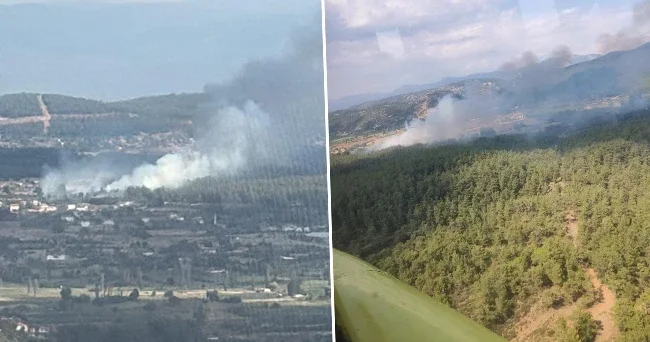 Muğla’da orman yangını: Alevlerle mücadele başladı