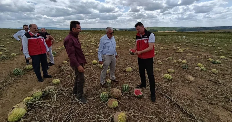 Tekirdağ da tarım arazilerinde hasar tespit çalışmaları sürüyor