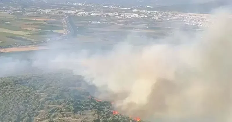 İzmir’de orman yangını