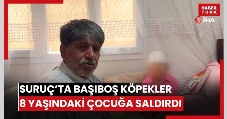 Suruç’ta başıboş köpekler 8 yaşındaki çocuğa saldırdı