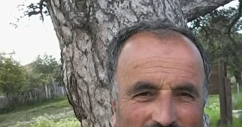 Kastamonu da Ağaç Kesimi Sırasında Ölüm