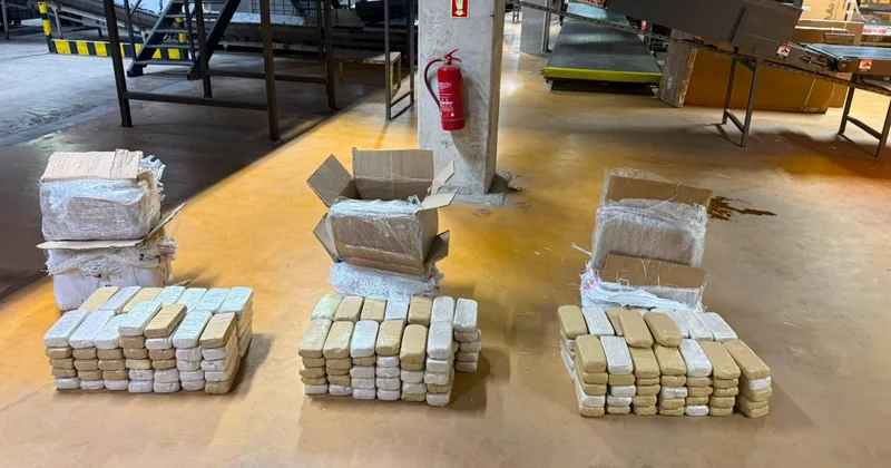 Ankara da kargo paketlerinde 109 kilogram uyuşturucu ele geçirildi