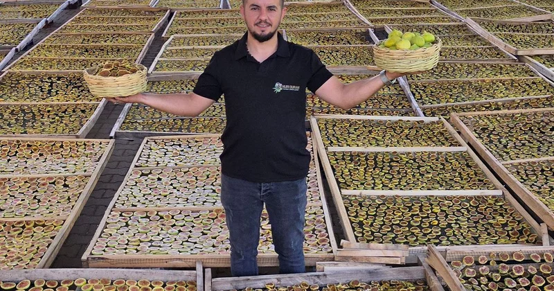 Aydın dan dünyaya yayılan lezzet: İncir Cipsi